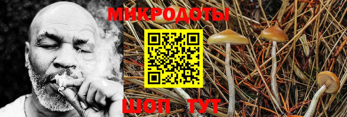 Надым  Псилоцибиновые грибы ЛСД  Вход с VPN 
