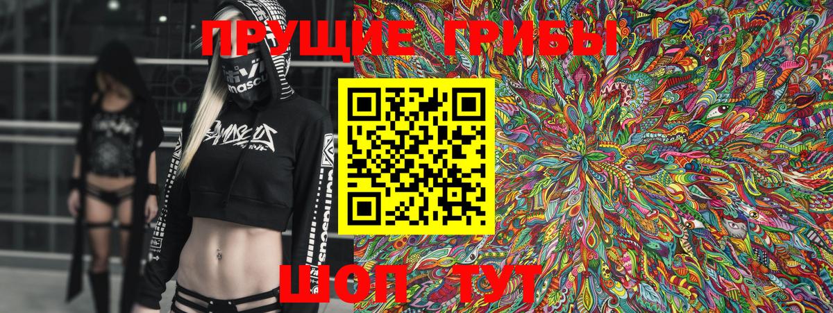 Псилоцибиновые грибы Psilocybe Надым